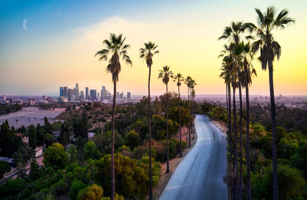 Where to Stay in Style: The Best Hotels in Los Angeles for Every Traveler